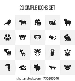 Set Of 20 Editable Zoo Icons. Includes Symbols Such As Giraffe, Owl, Ox And More. Can Be Used For Web, Mobile, UI And Infographic Design.