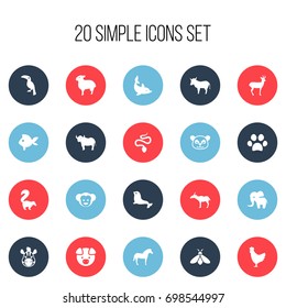 Set Of 20 Editable Zoology Icons. Includes Symbols Such As Toucan, Forepaw, Lamb And More. Can Be Used For Web, Mobile, UI And Infographic Design.