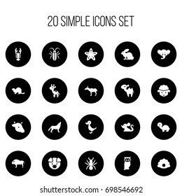 Set Of 20 Editable Zoology Icons. Includes Symbols Such As Giraffe, Sheep, Wolf And More. Can Be Used For Web, Mobile, UI And Infographic Design.