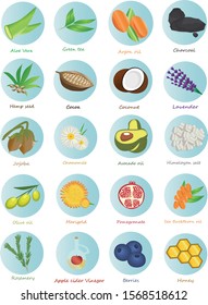 Set of 20 icons; ingridiants in organic cosmetisc. Flat vector symbols for herbs, vegetables and fruits in natural cosmetics prosucts.