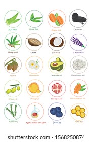Set of 20 icons representing most common ingredients in cosmetic. Flat natural ingredients in cosmetics for webpage, etiquette, brochures. Vector.