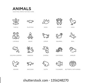 set of 20 line icons such as zander, baboon, dolphin jumping, squirrel, lemur, squid, ladybug, spider, dove, platypus. animals outline thin icons collection. editable 64x64 stroke