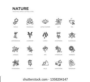 set of 20 line icons such as iris, jasmine, jonquil, knapweed, larch, lavender, lemongrass, lily, lotus flower, magnolia. nature outline thin icons collection. editable 64x64 stroke