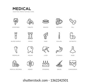 set of 20 line icons such as liver, molar, premolar, scalpel, knee, femur, blood sample, notepad, braces, tablets. medical outline thin icons collection. editable 64x64 stroke