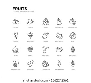 set of 20 line icons such as beetroot, grape, plum, bell pepper, acorn, broccoli, radish, rose apple, berry, potato. fruits outline thin icons collection. editable 64x64 stroke