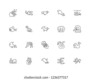 Set Of 20 linear Animals icons such as Octopus, Fishes, Dolphin, Seahorse, Whale, Submarine, Seashell, Medusa, Fish, Pelican, editable stroke vector icon pack