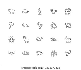 Set Of 20 linear Animals icons such as Hen, Octopus, Frog, Clown fish, Bat, Crocodile, Butterfly, Whale, Spider, Sea cow, Ostrich, editable stroke vector icon pack
