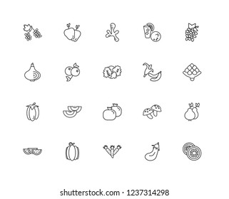 Set Of 20 linear fruits icons such as Orange, Eggplant, Carrot, Pumpkin, Watermelon, Raspberry, Banana, Grenade, Bell pepper, berries, Ginger, editable stroke vector icon pack