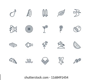 Set Of 20 linear icons such as Maracas, Swimsuit, Flower necklace, Swimming, Conch shell, Albatross, Flower, Flamingo, Mattress, Grapefruit, Surfboard, editable stroke vector icon pack