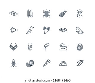 Set Of 20 linear icons such as Leaf, Cave, Spyglass, Watermelon, Man, Jellyfish, Palm tree, Flamingo, Flower necklace, Parrot, Tortoise, editable stroke vector icon pack