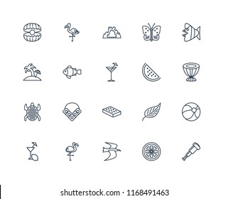 Set Of 20 linear icons such as Spyglass, Grapefruit, Albatross, Flamingo, Lemon juice, Fish, Watermelon, Mattress, Tortoise, Clown fish, Cave, editable stroke vector icon pack
