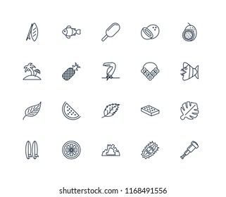 Set Of 20 linear icons such as Spyglass, Durian, Cave, Grapefruit, Surfboard, Passion fruit, Flower necklace, Leaf, Pineapple, Ice cream, editable stroke vector icon pack