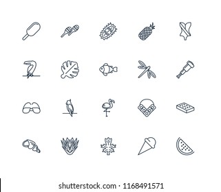 Set Of 20 linear icons such as Watermelon, Ice cream, Leaf, Yucca, Conch shell, Swimsuit, Dragon fly, Flamingo, Sunglasses, Leaf monstera, Durian, editable stroke vector icon pack