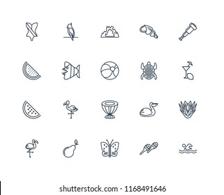 Set Of 20 linear icons such as Swimming, Maracas, Butterfly, Pear, Flamingo, Spyglass, Tortoise, Drum, Watermelon, Fish, Cave, editable stroke vector icon pack
