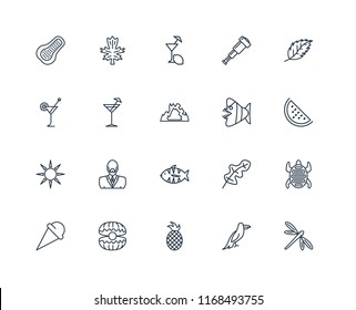 Set Of 20 linear icons such as Dragon fly, Parrot, Pineapple, Oyster, Ice cream, Leaf, Fish, Sun, Cocktail, Lemon juice, editable stroke vector icon pack