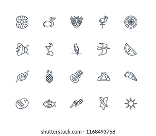 Set Of 20 linear icons such as Sun, Swimsuit, Maracas, Fish, Coconut, Grapefruit, Albatross, Papaya, Leaf, Lemon juice, Yucca, editable stroke vector icon pack