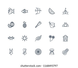 Set Of 20 linear icons such as Papaya, Jellyfish, Grapefruit, Swimsuit, Sand castle, bucket, Leaf, Palm tree, Pineapple, Albatross, editable stroke vector icon pack