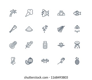 Set Of 20 linear icons such as Pineapple, Flower, Palm tree, Watermelon, Swimsuit, Fish, Leaf, Oil, Papaya, editable stroke vector icon pack