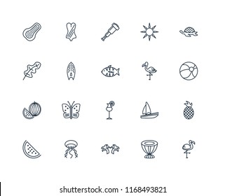 Set Of 20 linear icons such as Flamingo, Drum, Palm tree, Jellyfish, Watermelon, Tortoise, Cocktail, Surfboard, Spyglass, editable stroke vector icon pack