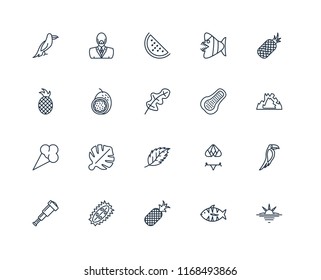 Set Of 20 linear icons such as Sunset, Fish, Pineapple, Durian, Spyglass, Papaya, Leaf, Ice cream, Passion fruit, Watermelon, editable stroke vector icon pack