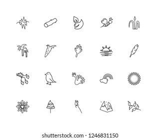 Set Of 20 linear Nature icons such as Leaf, Mountains, Rose, Pine, Snowflake, Reed, Sunset, Peacock, Acorn, Carrot, editable stroke vector icon pack