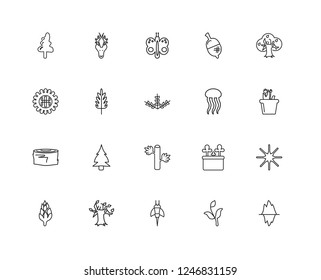 Set Of 20 linear Nature icons such as Iceberg, Plant, Bee, Tree, Artichoke, Jellyfish, Bamboo, Log, Butterfly, editable stroke vector icon pack