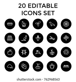 Set of 20 natural outline icons such as field, currant, cherry, corn, beetle, deer, cangaroo, seal, bouquet, garden tools, pot for plants, sprout plants, ground heap, leaf