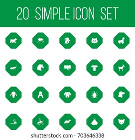 Set Of 20 Zoology Icons Set.Collection Of Butterfly, Kine, Damselfly And Other Elements.