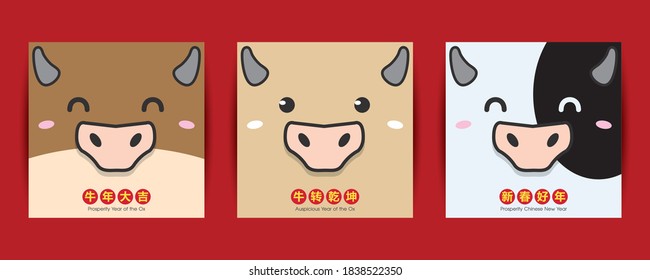 Set of 2021 Year of Ox greeting Illustration with cute cow/ox face. (Translation: Auspicious Year of the Ox, Prosperity Chinese New Year)