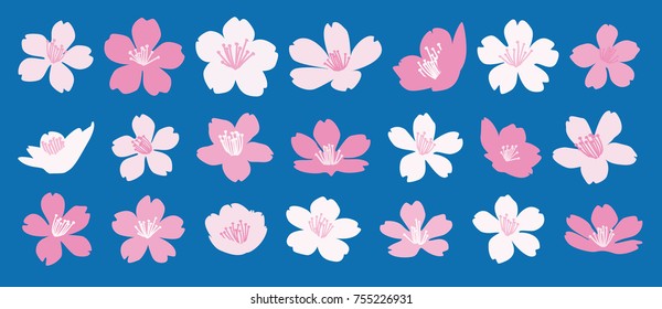 Set of 21 cherry blossom vector illustrations - Sakura