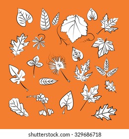 A set of 22 leaves of maple, oak, ash, palm, orchid, flower, stem, lilac, grape.
Isolated on a bright autumn background, black strokes, not color, vector collection hand drawn EPS10.