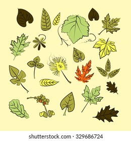 A set of 22 leaves of maple, oak, ash, palm, orchid, flower, stem, lilac, grape.
Isolated on a light background, color, vector collection hand drawn EPS10.
