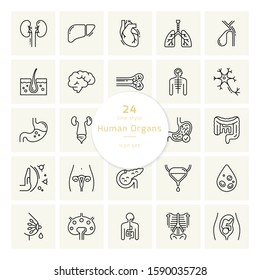 Set of 24 vector icons of internal human organs in a linear style isolated with background of seamless medicine pattern.