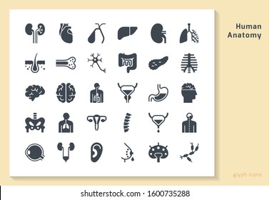 Set of 24 vector icons of internal human organs in a linear style isolated with background of seamless medicine pattern.
