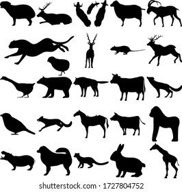 Set of 25 animals. Capybara, Elk, Sheep, Goat, Chick, Cheetah, Antilope, Rodents, Deer, Goose, Bear, Wolf, Fox, Sparrow, Horse, Cow, Gorilla, Hippopotamus, Samoyed, Pacific Fisher, Rabbit, Giraffe.