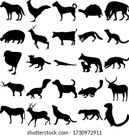 Set of 25 animals. Cock, Tortoise, Hyena, Hippopotamus, Pacific Fisher, Chicken, Salamander, Fox, Dog, Elephant, Skunk, Jack Russell, Chipmunk, Cow, Zebra, Deer, Wolf, Jaguar, Marten.