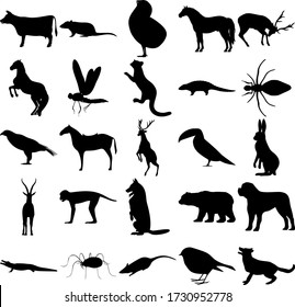 Silhouettes Wild Domestic Animals Birds Insects Stock Vector (Royalty ...