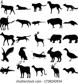 Set of 25 animals. Deer, Cheetah, Cougar, Dog, Fox, Aardwolf, Sheep, Duck, Elk, Bull, Tapir, Eagle, Crow, Grasshopper, Hare, Goat, Cat, Ferret.