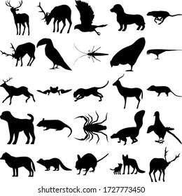 Gruppe von 25 Tieren. Hirsch, Goshawk, Dachshund, Cheetah, Toucan, Grasshopper, Huhn, Papageien, Elk, Bat, Cheetah, Antelope, Opossum, Hund, Rat, Scorpion, Skunk, Taube, Arctic Wolf, Racoon, Rodents, Fox.