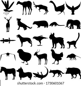 Gruppe von 25 Tieren. Dragonfly, Gänse, Goshawk, Rehe, Badger, Elephant, Lizard, Falcon, Lemur, Crow, Antelope, Chicken, Opossum, Zebra, Krokodil, Hund, Boar.