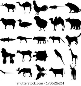 Set of 25 animals. Elephant, Rooster, Rat, Pig, Sheep, Duck, Chick, Camel, Bear, Gecko, Wolf, Dog, Poodle, Deer, Turtle, Parrot, Giraffe, Lizard, Moose, Butterfly, Cow, Elk.