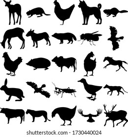 Set of 25 animals. Elk, Beaver, Chicken, Dog, Deer, Bullterrier, Racoon Dog, Housefly, Goshawk, Hedgehog, Bull, Horse, Rabbit, Praying Mantis, Duck, Thylacine, Lion, Raven, Deer.