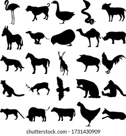 Set of 25 animals. Flamingo, Geese, Snake, Chihuahua, Donkey, Whippet, Camel, Rhin, Dog, Horse, Boar, Rooster, Pacific Fisher, Owl, Gorilla, Cat, Buffalo, Cow, Chicken, Deer.