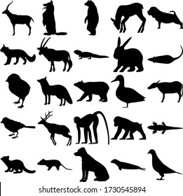 Gruppe von 25 Tieren. Gazelle, Fawn, SharPei, Antelope, Rabbit, Rat, Kick, Fox, Bär, Ente, Buffalo, Sparrow, Hirsch, Affe, Lizard, Fisher, Opossum, Hund, Siegel, Taube.