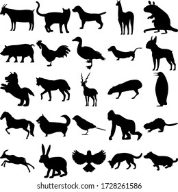 Set of 25 animals. Goat, Cat, Dog, Lama, Mouse, Pig, Rooster, Goose, Wolf, Antilope, Penguin, Horse, Corgi, Sparrow, Gorilla, Beaver, Gazelle, Rabbit, Bird.