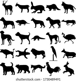 Set of 25 animals. Goat, Rabbit, Raccoon, Dog, Pitbull, Mole, Deer, Pangolin, Black Cat, Cassowary, Bull, Bear, Lion, Parrot, Elk, Jack Russell, Fox, Rooster.