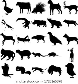 Set of 25 animals. Goose, Cow, Porcupine, Dog, Deer, Mantis, Crocodile, Rhinoceros, Bear, Wolf, Grasshopper, Dove, Pitbull, Cat, Capybara, Fisher, Armadillo, Goshawk, Squirrel, Thylacine, Buffalo.