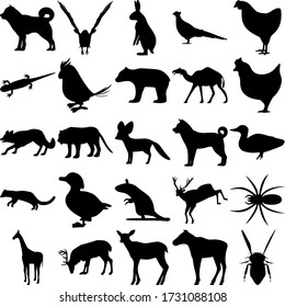 Set of 25 animals. Goshawk, Hare, Pheasant, Salamander, Parrot, Bear, Camel, Chicken, Tiger, Fennec fox, Dog, Pacific Fisher, Duck, Rat, Deer, Spider, Giraffe, Reindeer, Bee.