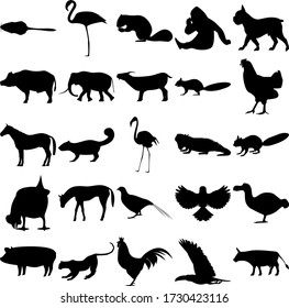 Set of 25 animals. Mouse, Flamingo, Squirrel, Gorilla, Dog, Buffalo, Elephant, Goat, Chicken, Horse, Iguana, Pheasant, Bird, Dodo, Pig, Jaguar, Rooster, Toucan, Cow.