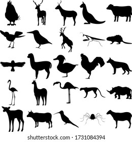 Set of 25 animals. Parrot, Kangaroo, Bird, Mantis, Beaver, Owl, Duck, Cock, Dog, Lama, Flamingo, Jaguar, Rhino, Deer, Cow, Colibri, Spider, Sheep.